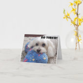 *70ste VERJAARDAG* HA HA HA HA (FUNNY DOG HUMOR) Kaart (Gele Bloem)