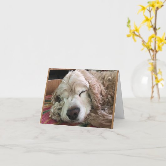 *70ste VERJAARDAG* HA HA HA HA (FUNNY DOG HUMOR) Kaart (Gele Bloem)