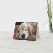 *70ste VERJAARDAG* HA HA HA HA (FUNNY DOG HUMOR) Kaart (Voorkant)