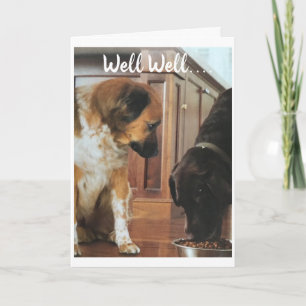 **70ste VERJAARDAG** HUMOR VAN DE HONDEN! Kaart