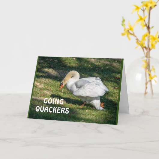 *70th* BIRTHDAY-GOING QUACKERS-KAN NIET WAAR ZIJN Kaart (Gele Bloem)