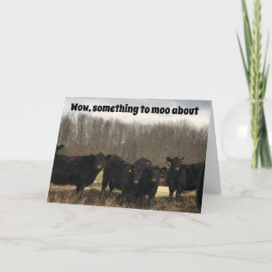 **70th** BIRTHDAY IS IETS MET "MOO ABOUT" Kaart