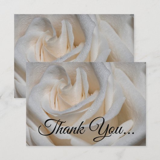 7127 - Witte roos met dauw Bedankkaart (Voorkant / Achterkant)