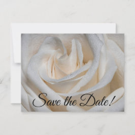 7127 - Witte roos met dauw Briefkaart