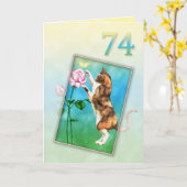 74e verjaardag met een speelse kat kaart (Gele Bloem)