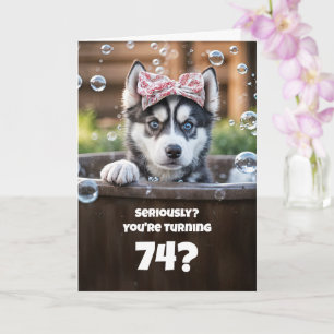 74ste Grappige Husky Bad Verjaardag Cute Kaart