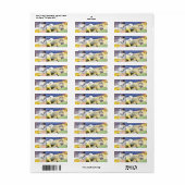 .75 "x2.25" Retouradres Mason Jar Kaarsenhouders Etiket (Full Sheet)