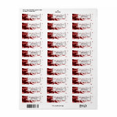 .75"x2.25" Retouradreslabel Bloedspatten Vam Etiket (Full Sheet)