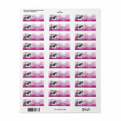 .75 "x2.25" Retouradreslabel Ombre Pink Chevron Etiket (Full Sheet)
