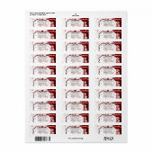 .75 "x2.25" Zakelijk adres Label Blood Splatter V (Full Sheet)