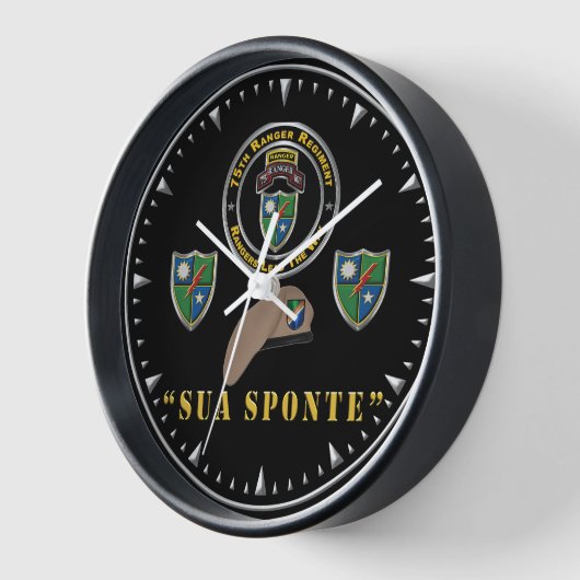 75e Ranger Regiment (Hoek)