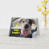 **75ste VERJAARDAG** GELUKKIG BEN JIJ NIET IK! Kaa Kaart (Gele Bloem)