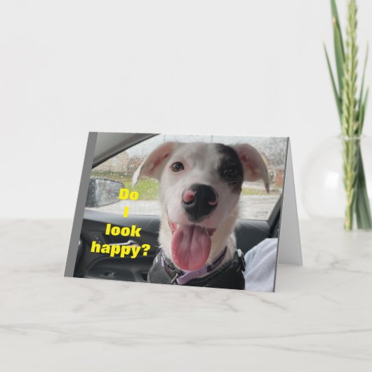 **75ste VERJAARDAG** GELUKKIG BEN JIJ NIET IK! Kaa Kaart (Voorkant)