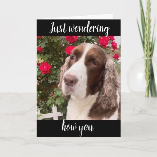 **75th & YOU ARE FABULOUS** ALTIJD! VERJAARDAG KAA Kaart (Voorkant)