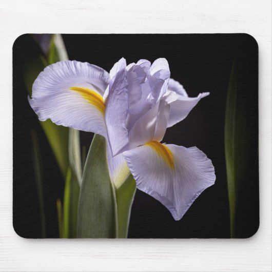 7659-2-Paarse iris Muismat (Voorkant)