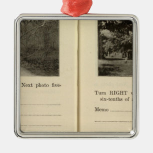 77881 Crotonon Hudson Buchanan Metalen Ornament