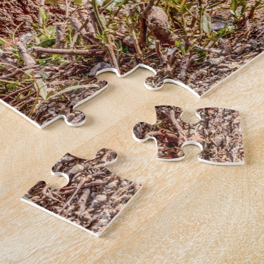 7928-Witte Gans Staande Over Ei Puzzel Legpuzzel (Zijkant)