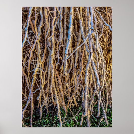 7 afdrukken, Poster papier (halfglanzend) (Voorkant)