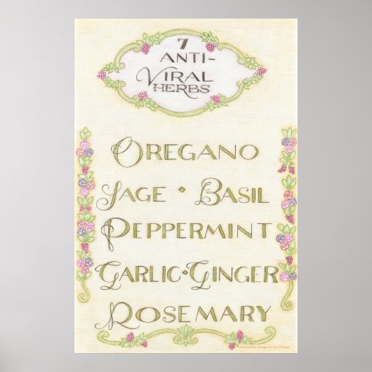 7 Antiviraal Kruiden Poster (Voorkant)