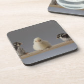 7 Baby kippen op een baard Drankjes Onderzetter (Linkerzijde)