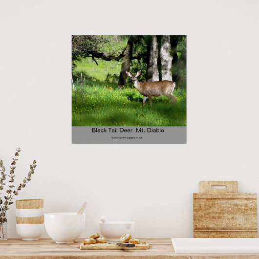 7 Black Tail Deer, Black Tail Deer Mt. Diablo, Poster (Keuken)