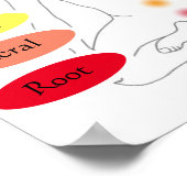 7 Chakras 12x12 inch Poster (Hoek)