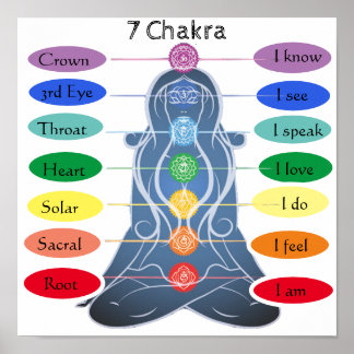 7 Chakras 12x12 inch Poster
