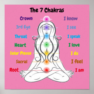 7 Chakras 12x12 inch Poster