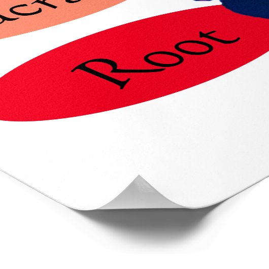 7 Chakras 24x24-inch Poster (Hoek)