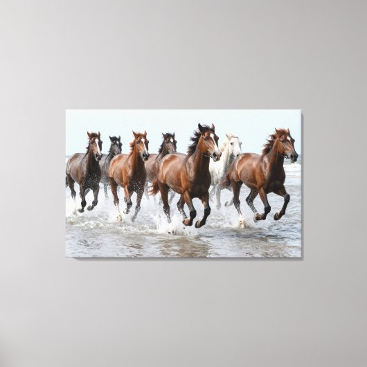 7 Hourses Premium Wrapped Canvas Afdruk (Voorkant)