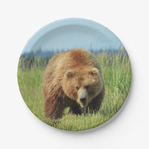 7-inch Bord papier met grizzly beer