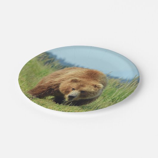 7-inch Bord papier met grizzly beer (Gekanteld)