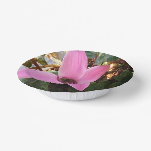 7-inch borden kom uit (Gebogen)