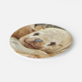7-inch papieren Bord met zegel (Gekanteld)