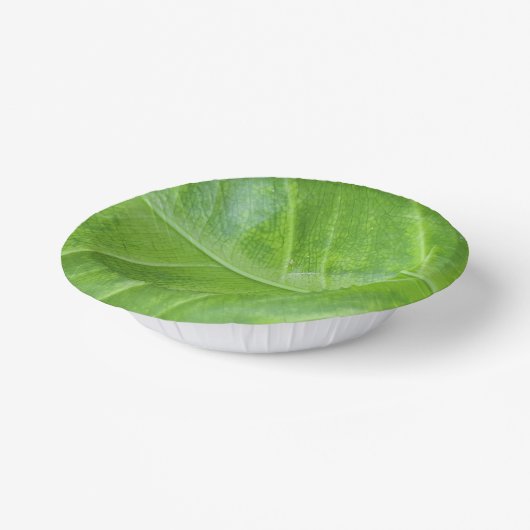7-inch papieren kom met betoverend groen blad (Gebogen)