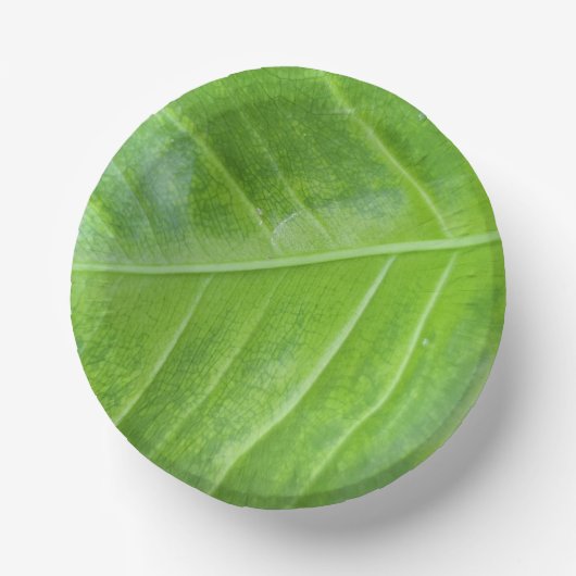 7-inch papieren kom met betoverend groen blad (Voorkant)