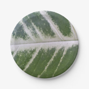 7 Inch Prachtig Groen Blad Met Delicate White Papieren Bordje
