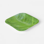 7-inch vierkante papieren Bord met betoverend groe (Gebogen)