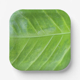 7-inch vierkante papieren Bord met betoverend groe