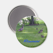 7 Kleine eendjes Magneet (Voorkant / Achterkant)