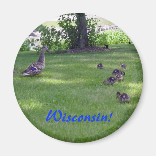 7 Kleine eendjes Magneet (Voorkant)