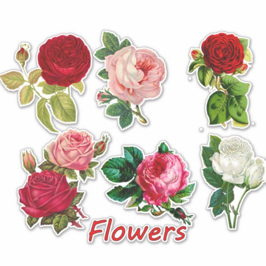 7 Mooie Rozen voor Scrapbooking Sticker (Voorkant)