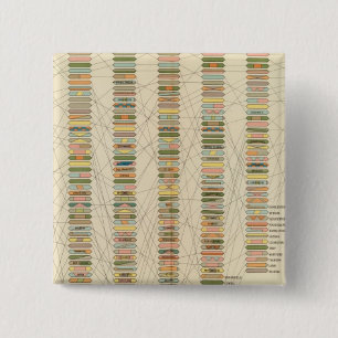 7 Rank, steden 17901890 Vierkante Button 5,1 Cm