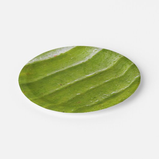 7"Rond Document Bord met Zuiver Bananenblad (Gekanteld)