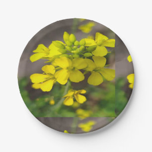 7" Ronde papieren Bord met een gele bloem