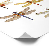 7 Soort Poster van libellen (Hoek)