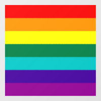 7 Stripes regenboogpride 