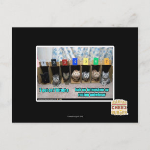 7 van de 7 keukens van ov briefkaart