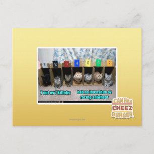 7 van de 7 keukens van ov briefkaart