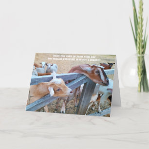 7 x5-inch gevouwen kaart    Hey-Hay! Waar is de mi